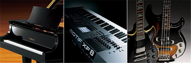 蒙特卡罗474涝祺