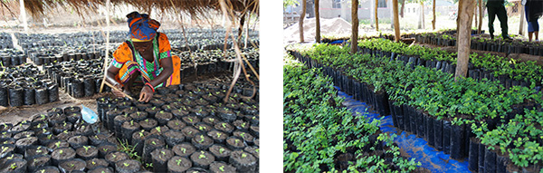 蒙特卡罗474·(中国区)官方网站-Brand Company