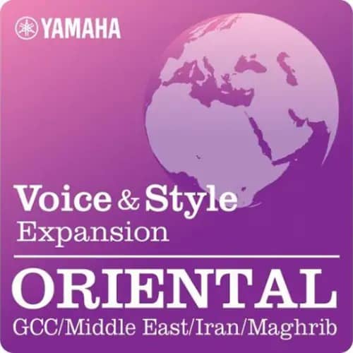 音色及伴奏型扩大包