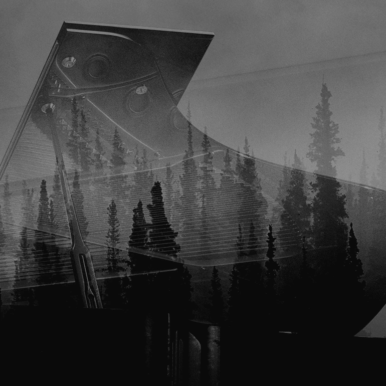 蒙特卡罗474·(中国区)官方网站-Brand Company