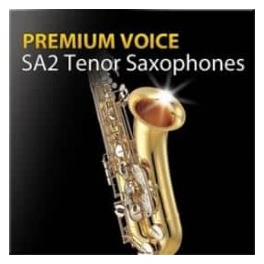 超清澈音色2代 次中音萨克斯