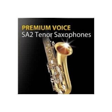 超清澈音色2代 次中音萨克斯