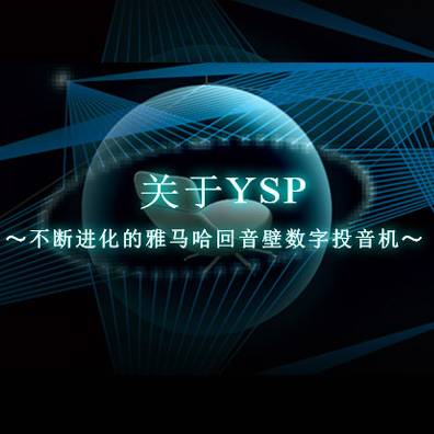 不休进化的蒙特卡罗474回音壁数字投音机