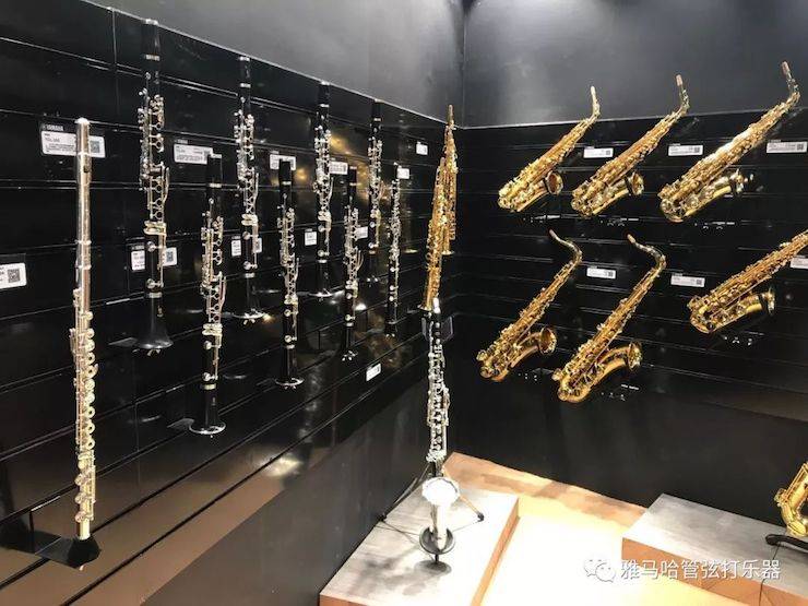 蒙特卡罗474涝祺 试奏乐器