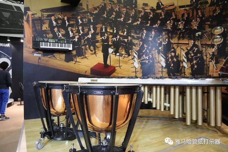 蒙特卡罗474涝祺 试奏乐器