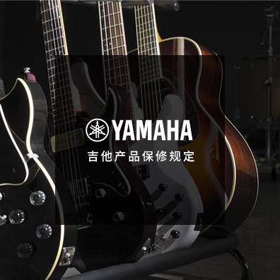 吉他产品保建划定