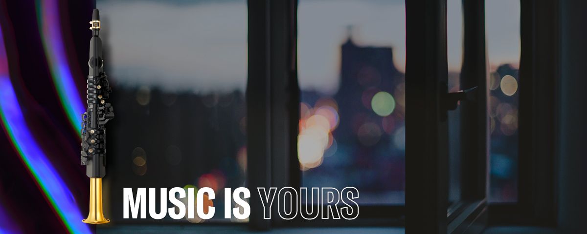 电子管涝祺YDS150