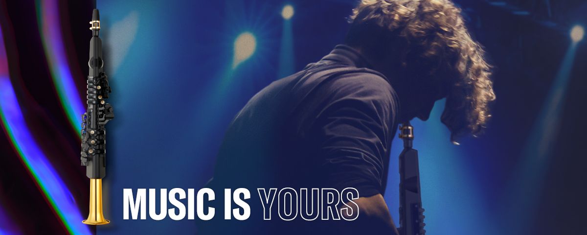 电子管涝祺YDS150