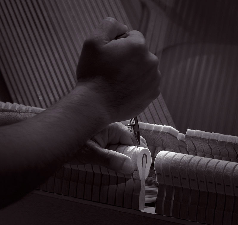 蒙特卡罗474·(中国区)官方网站-Brand Company