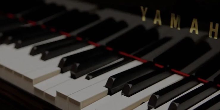 远程大家班|冼劲松教员远程讲授第三场圆满实现！