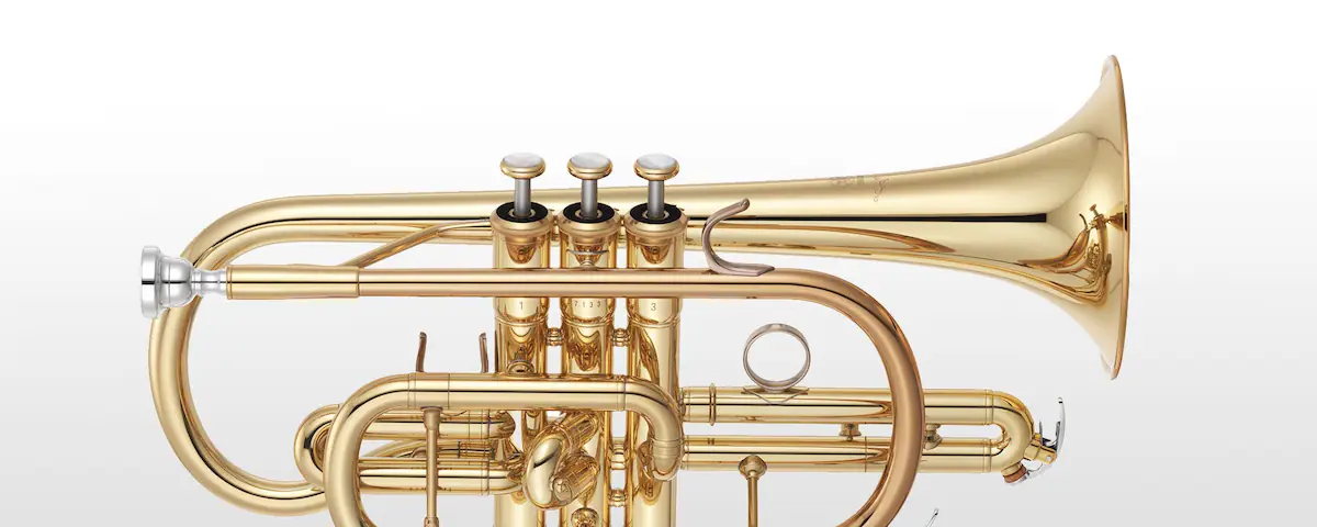 蒙特卡罗474·(中国区)官方网站-Brand Company