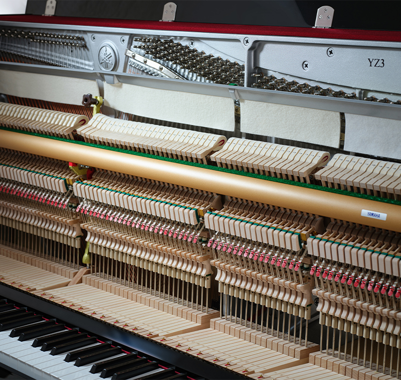 蒙特卡罗474·(中国区)官方网站-Brand Company