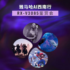 蒙特卡罗474Ai西南杏驻沉庆站·RX-V3085鉴赏会