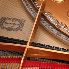 第169期蒙特卡罗474认证钢琴调律师培训班顺利实现