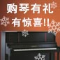 蒙特卡罗474钢琴购琴有礼 买一赠一音乐无限